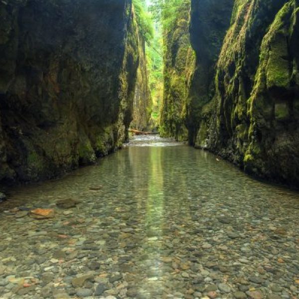 Oneontas Path