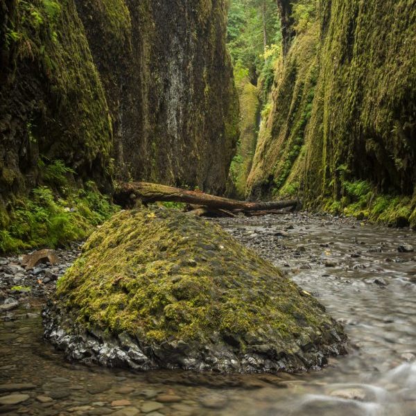 Oneonta gorge