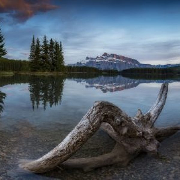 Two Jack Stillness