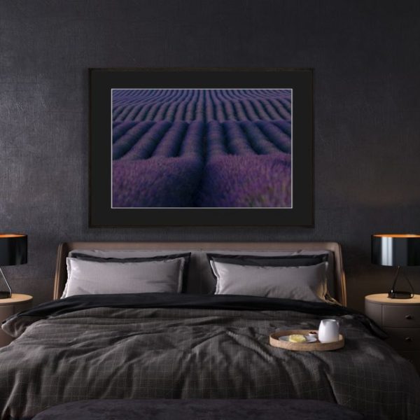 Purple Sea
