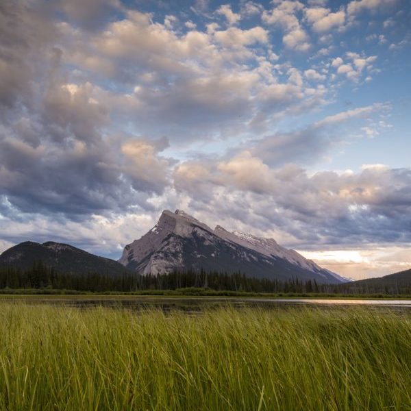 Quiet Peaks