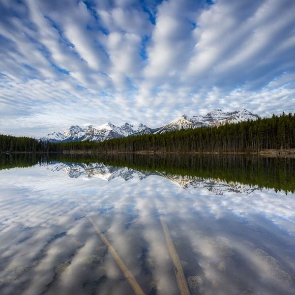 Radiant Reflection