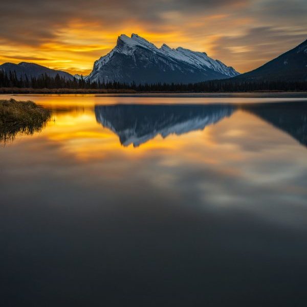 Silent Basin