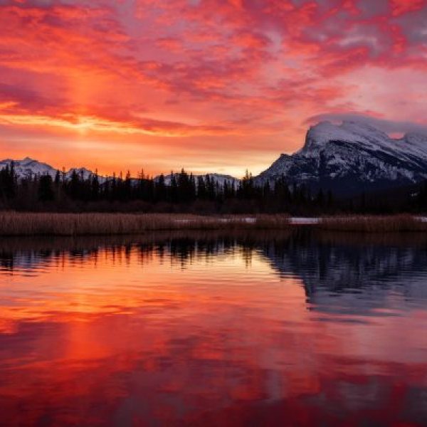 Sunrise Blaze