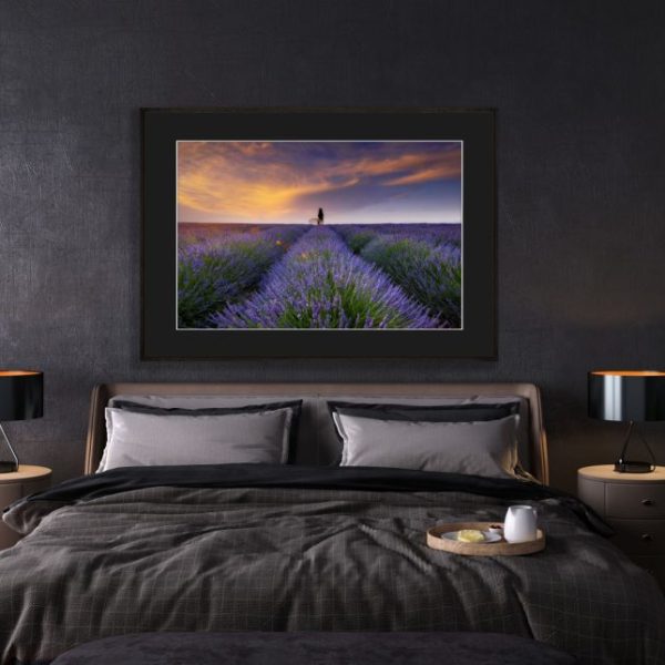 Wildflowers Wishes
