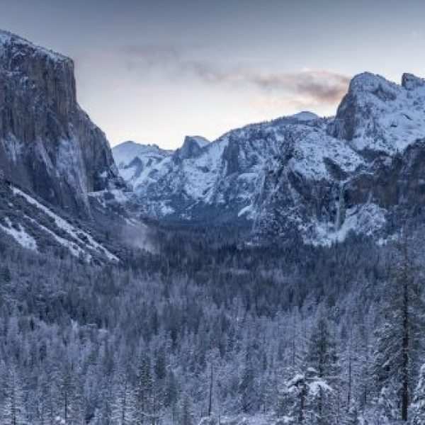 Winters Cathedral