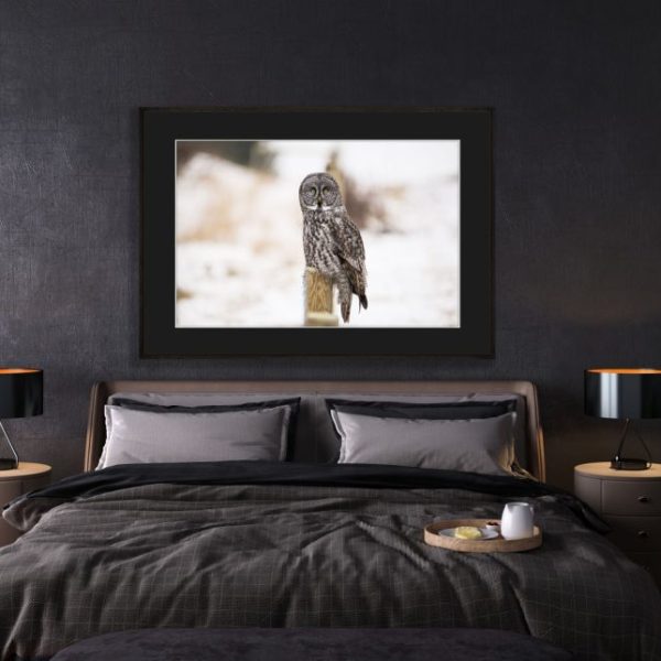 Winters Hunters