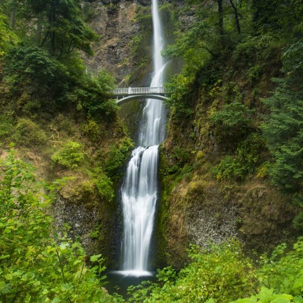 multnomah falls