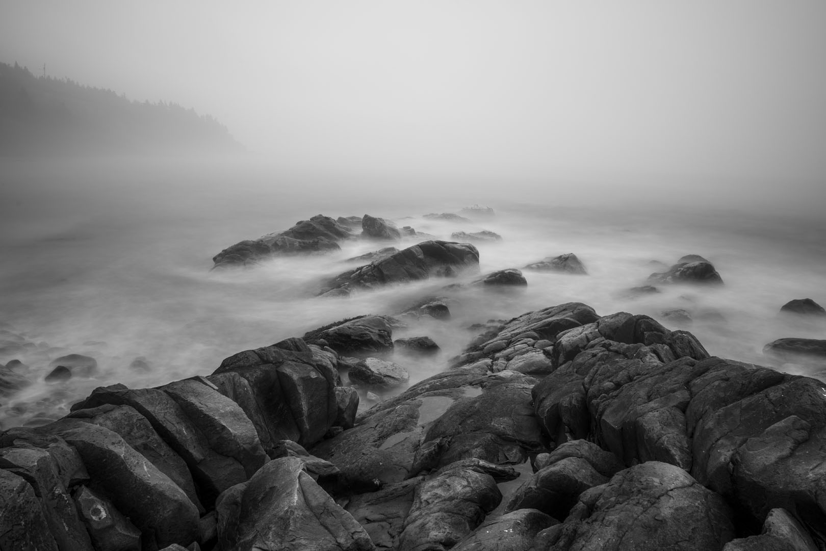 Fog and Shore