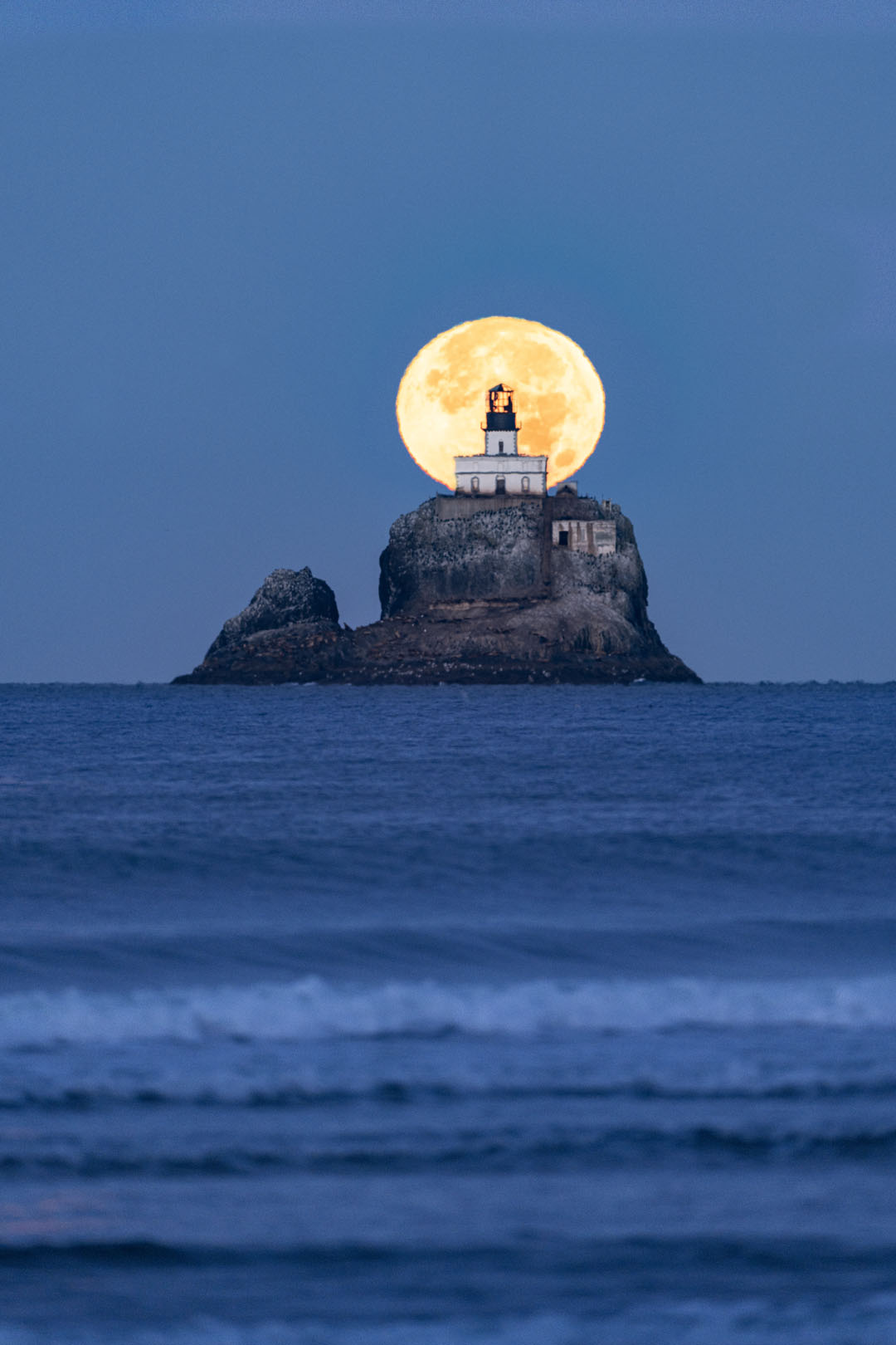 Tillamack Mooning